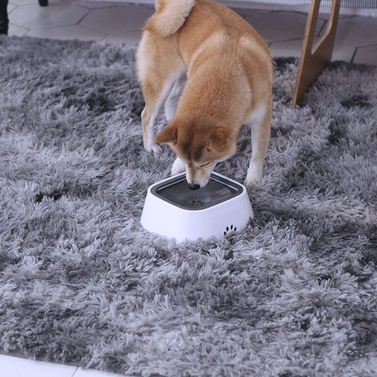 AquaPup Okos itató